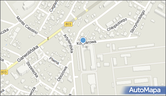 8212161321, Exito Edyta Kozielska 