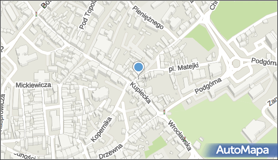 Expert-Pharm Wiesław Dawid, ul. Plac Jana Matejki 34, Zielona Góra 65-001 - Przedsiębiorstwo, Firma, NIP: 9290115092