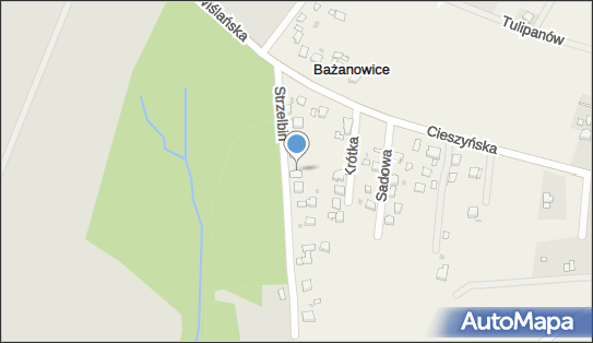 5481134916, F.H.U.Czesław Cholewa 