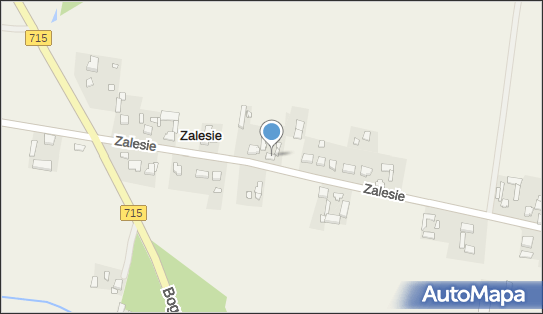 F.H.U.Dom-Instal, Zalesie 8, Zalesie 98-210 - Przedsiębiorstwo, Firma, NIP: 8271000571