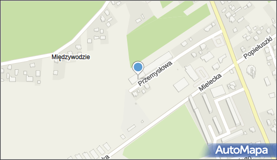 F.H.U.Kaszmir Katarzyna Płaza, Przemysłowa 12, Skopanie 39-451 - Przedsiębiorstwo, Firma, NIP: 8672014679