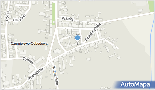 F H U Tomasz i Michał Kierzenkowscy, Czerniejewo 62-250 - Przedsiębiorstwo, Firma, NIP: 7842351525