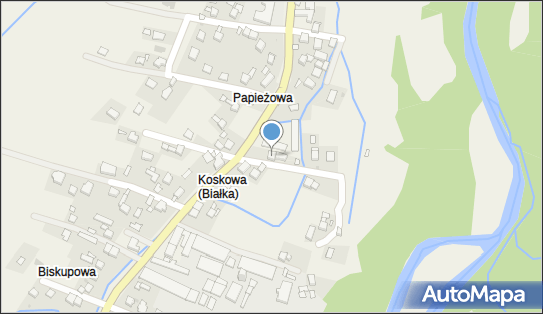 F.P.H Szachy Polak Stanisław Białka 373, Białka 373, Białka 34-220 - Przedsiębiorstwo, Firma, NIP: 5521017968