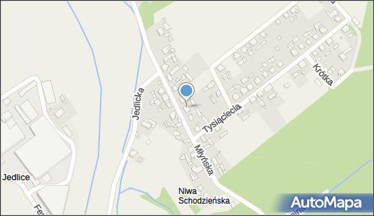 F U H Paulina Wojciechowski Michał, Młyńska 10, Antoniów 46-040 - Przedsiębiorstwo, Firma, NIP: 6271167672