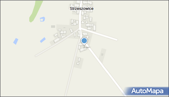 080320834, Falkiewicz Monika 