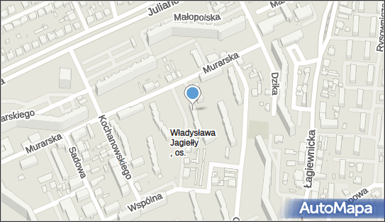 Farinelli Wydawnictwo Fonograficzne, Murarska 5, Łódź 91-465 - Przedsiębiorstwo, Firma, NIP: 8311134853