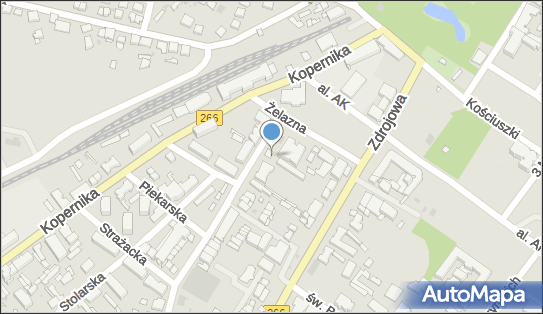 Fason, ul. Władysława Broniewskiego 1A, Ciechocinek 87-720 - Przedsiębiorstwo, Firma, numer telefonu, NIP: 8911412935