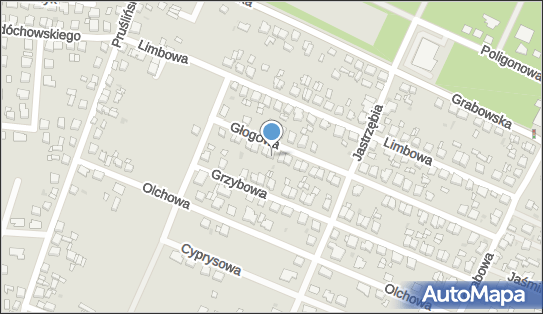 Fast Serv, Głogowa 16, Ostrów Wielkopolski 63-400 - Przedsiębiorstwo, Firma, numer telefonu, NIP: 6221344184