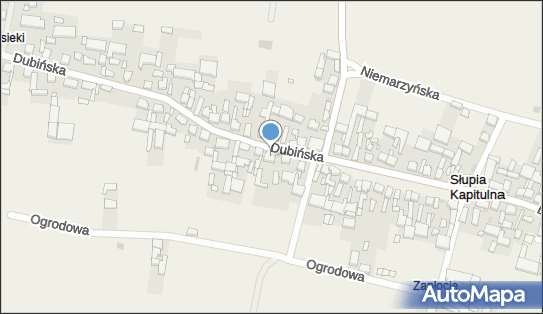 Ferma Drobiu Franciszek Dróżdż Słupia Kapitulna 63-904 - Przedsiębiorstwo, Firma, NIP: 6991205484