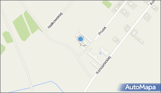 Ferma Drobiu Ryszard Krzemiński, ul. Bolesława Prusa 9, Laskowice 86-130 - Przedsiębiorstwo, Firma, NIP: 6751024702