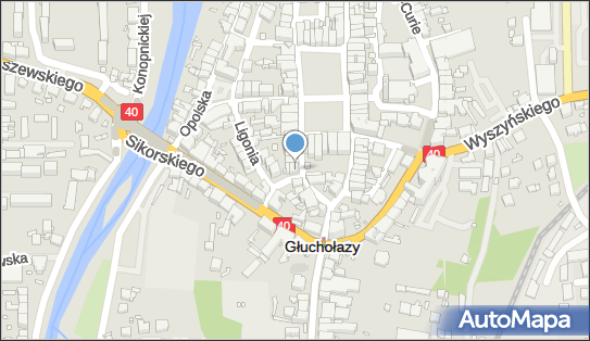 FH Cztery Pory Roku, ul. Batorego 10/1, Głuchołazy 48-340 - Przedsiębiorstwo, Firma, NIP: 7531945547