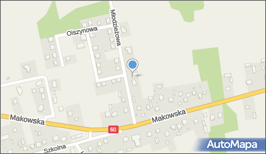 Fhu Diament Renata Kozicka, Młodzieżowa 6, Karniewo 06-425 - Przedsiębiorstwo, Firma, NIP: 7571300029