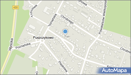 Fhu Divison, Kopernika Mikołaja 68, Puszczykowo 62-040 - Przedsiębiorstwo, Firma, numer telefonu, NIP: 7772381425