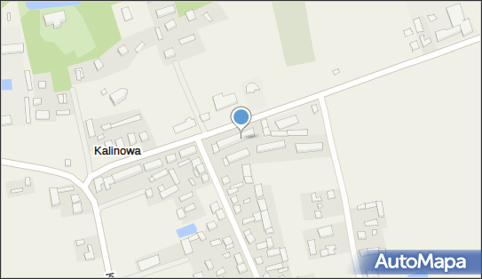 Fhu Inter-Veg, Kalinowa 106, Kalinowa 98-235 - Przedsiębiorstwo, Firma, NIP: 8272150568