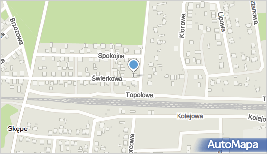 Filip BHP Buty Robocze Witold Ireneusz Litwinienko, Świerkowa 4 87-630 - Przedsiębiorstwo, Firma, NIP: 8931004085