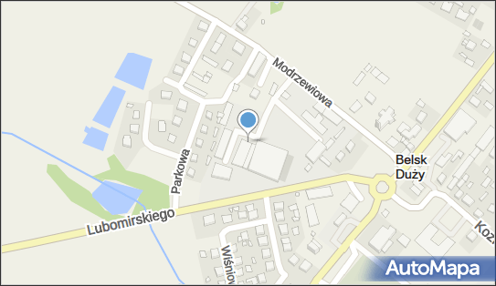 Firma Drwalex Henryk Dyga i S Ka, ul. Modrzewiowa 1/2, Belsk Duży 05-622 - Przedsiębiorstwo, Firma, NIP: 7971250298