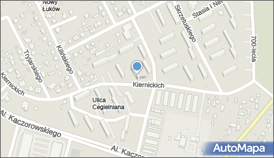 8251086144, Firma Handlowa Anna Sołtyszewska w Łukowie 