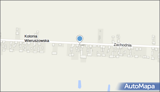 Firma Handlowa Beata Beata Janus, Zachodnia 53, Czastary 98-410 - Przedsiębiorstwo, Firma, NIP: 9970006203