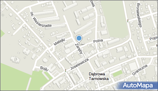 8711767303, Firma Handlowa Błażej Golemo 