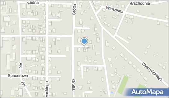 Firma Handlowa Carmen, ul. Orzechowa 6, Busko-Zdrój 28-100 - Przedsiębiorstwo, Firma, NIP: 9471492622