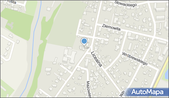 Firma Handlowa Janusz Szymanek Tadeusz Bury, ul. 15 Sierpnia NN 96-500 - Przedsiębiorstwo, Firma, NIP: 8371510604