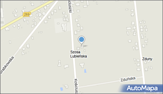 Firma Handlowa Lila Janczewska-Dobrodziej, ul. Kościuszki 43A 87-820 - Przedsiębiorstwo, Firma, NIP: 9470005956