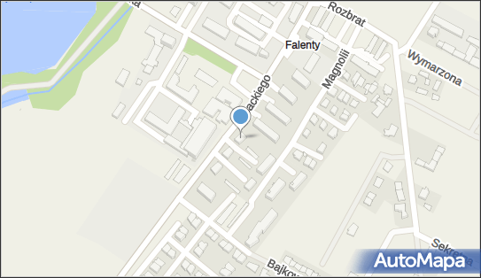 Firma Handlowa Suzi, ul. Zygmunta Opackiego 34, Falenty 05-090 - Przedsiębiorstwo, Firma, NIP: 5221008296