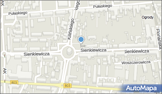 Firma Handlowa Top Model Sylwia Tokarska Rola, pl. Tysiąclecia 7 08-110 - Przedsiębiorstwo, Firma, NIP: 8212097238