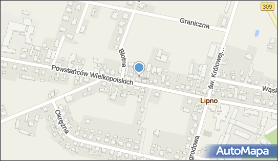 Firma Handlowa, Powstańców Wielkopolskich 34, Lipno 64-111 - Przedsiębiorstwo, Firma, numer telefonu, NIP: 6971020528