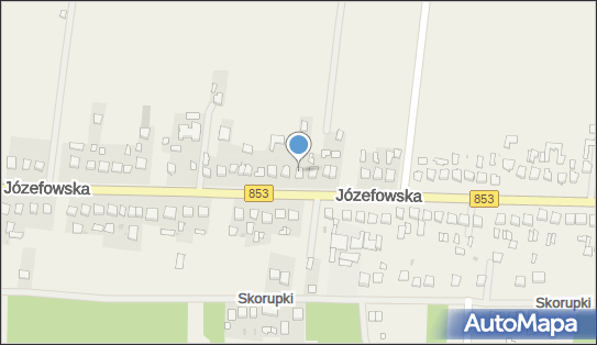 Firma Handlowo Transportowa, Józefowska 62, Rogóźno 22-600 - Przedsiębiorstwo, Firma, NIP: 9211173736