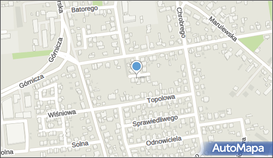 5562393125, Firma Handlowo - Usługowa 