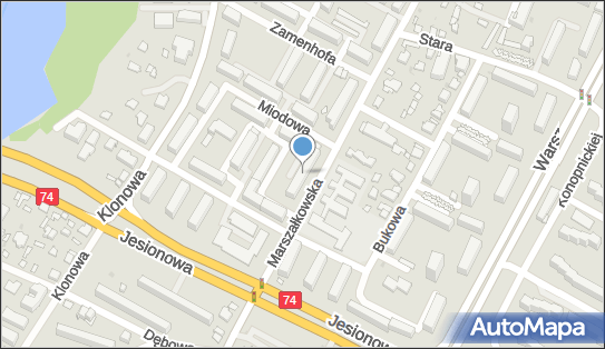 Firma Handlowo Usługowa Alha, ul. Marszałkowska 43, Kielce 25-546 - Przedsiębiorstwo, Firma, NIP: 9590761324