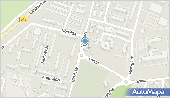 Firma Handlowo Usługowa Ananas, ul. Nidzicka 10, Działdowo 13-200 - Przedsiębiorstwo, Firma, numer telefonu, NIP: 5711000907