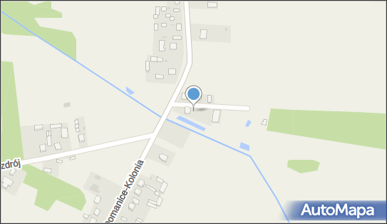 Firma Handlowo Usługowa Diana, Domanice-Kolonia 132 08-113 - Przedsiębiorstwo, Firma, NIP: 8211437117