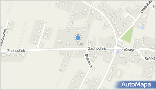 Firma Handlowo Usługowa Dora Styl, Nieciszów 3, Nieciszów 56-400 - Przedsiębiorstwo, Firma, NIP: 9111581884