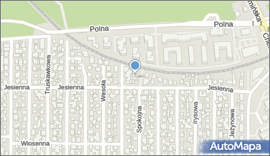 Firma Handlowo Usługowa Fantom, Spokojna 39, Toruń 87-100 - Przedsiębiorstwo, Firma, NIP: 9560009722