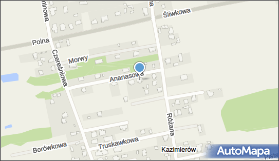 Firma Handlowo Usługowa Greg, Ananasowa 12, Kazimierów 05-074 - Przedsiębiorstwo, Firma, NIP: 9590216549