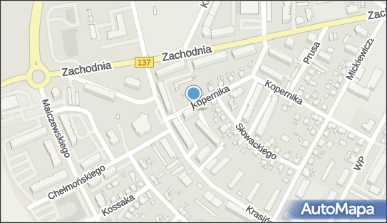 5960011040, Firma Handlowo-Usługowa 