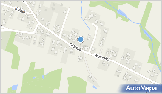 Firma Handlowo-Usługowa Irena Styrna, Główna 2, Kobyla 44-285 - Przedsiębiorstwo, Firma, NIP: 6391782121