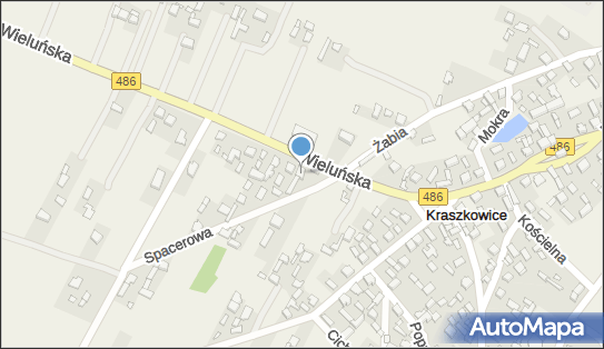 Firma Handlowo Usługowa Karol Wajs Karol, ul. Wieluńska 39 98-324 - Przedsiębiorstwo, Firma, numer telefonu, NIP: 8321031787