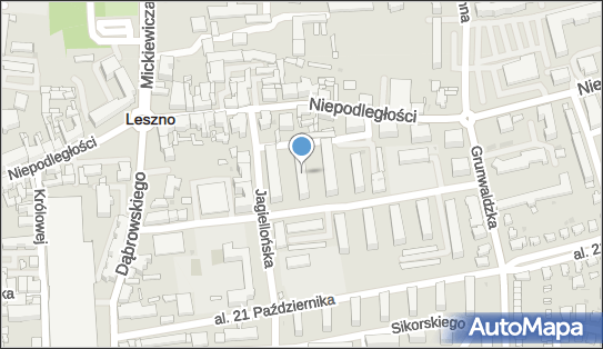 Firma Handlowo Usługowa Leszno, Prochownia 13, Leszno 64-100 - Przedsiębiorstwo, Firma, NIP: 6971055515