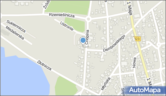 6971010843, Firma Handlowo-Usługowa Zbigniew Stępniak, Leszno 
