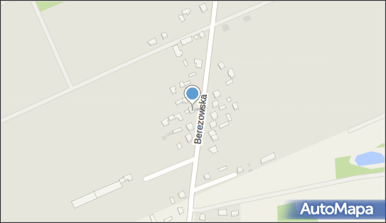 Firma Handlowo Usługowa MIX Katsiaryna Kendzerska, Berezowska 78 21-560 - Przedsiębiorstwo, Firma, NIP: 5372568952