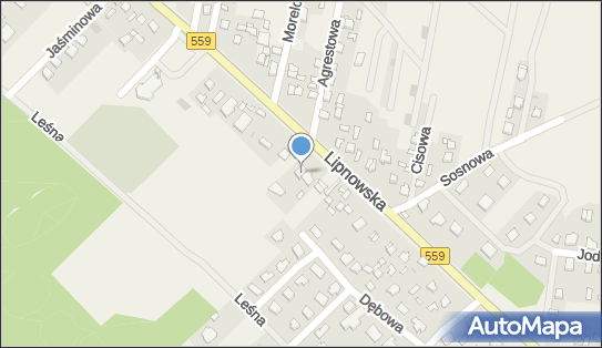 Firma Handlowo Usługowa Moto-Oko Marek Nowaczyk, Lipnowska 75 09-400 - Przedsiębiorstwo, Firma, NIP: 7741440061