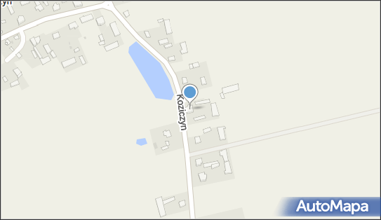 Firma Handlowo - Usługowa Szymański Dariusz, Koziczyn 40 06-461 - Przedsiębiorstwo, Firma, NIP: 5661348234