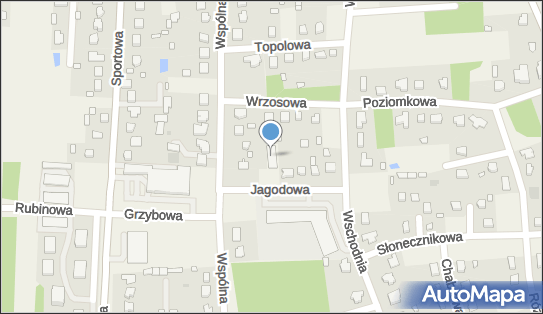 Firma Handlowo - Usługowa Taurus Karol Chojnowski, Wspólna 17 97-410 - Przedsiębiorstwo, Firma, NIP: 7692086598