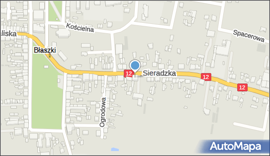 Firma Handlowo Usługowa Viol Mar, Sieradzka 16, Błaszki 98-235 - Przedsiębiorstwo, Firma, NIP: 6181166255