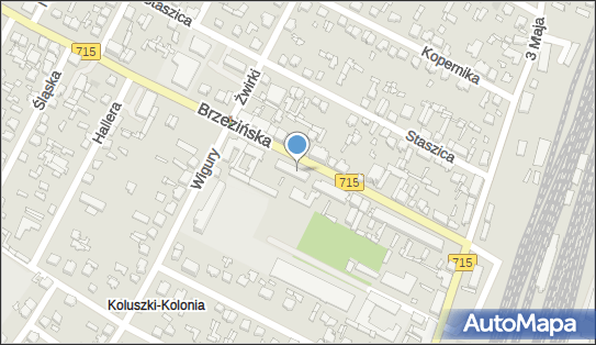 Firma Handlowo Usługowa w w, Brzezińska 24, Koluszki 95-040 - Przedsiębiorstwo, Firma, NIP: 7731219691