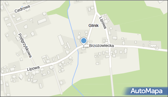 Firma Handlowo Usługowa Wilczy Bartłomiej Wilcząb, Lipowa 38 66-446 - Przedsiębiorstwo, Firma, NIP: 5992462231