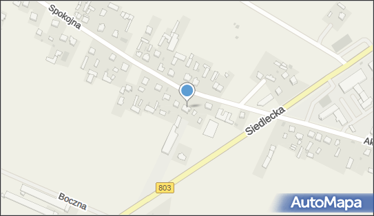 8211188252, Andrzej Szostek - Firma Handlowo - Usługowa 